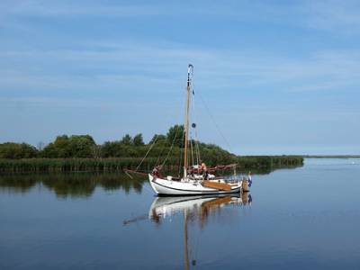 Landschap in natuurgebied Veerse Meer