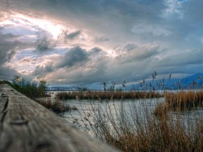 Landschap in natuurgebied Veluwezoom