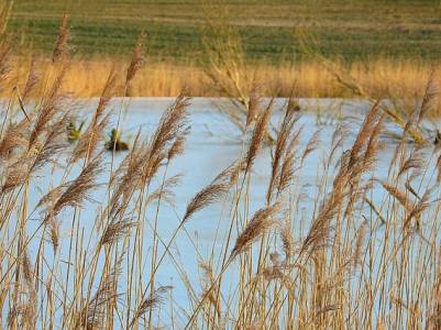 Landschap in natuurgebied Vlakte van de Raan