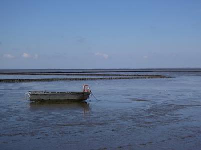 Landschap in natuurgebied Waddenzee
