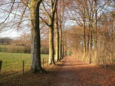 Landschap in natuurgebied Wierdense Veld