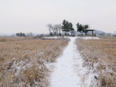 Landschap in natuurgebied Wooldse Veen
