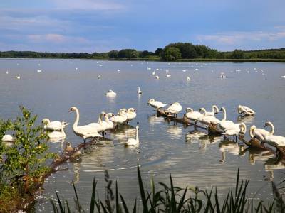 Landschap in natuurgebied Wormer- en Jisperveld & Kalverpolder