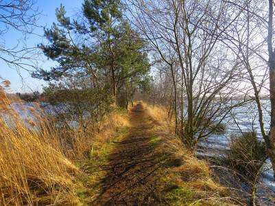 Landschap in natuurgebied Yerseke en Kapelse Moer