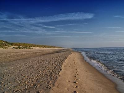 Landschap in natuurgebied Zwanenwater & Pettemerduinen