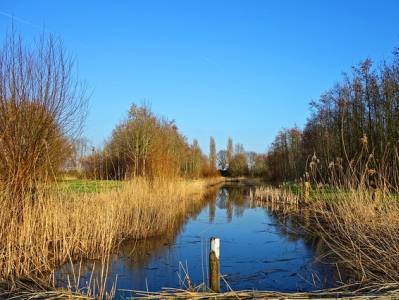 Landschap in natuurgebied Zwin & Kievittepolder