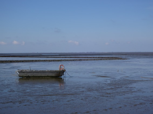 Landschap in Friesland