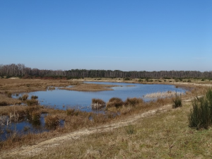 Landschap in Noord-Brabant
