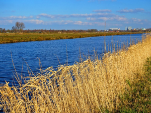 Landschap in Noord-Holland