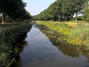 Landschap in Overijssel