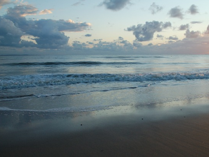 Landschap in Zeeland