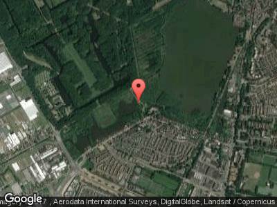 Hondvriendelijke wandelroute