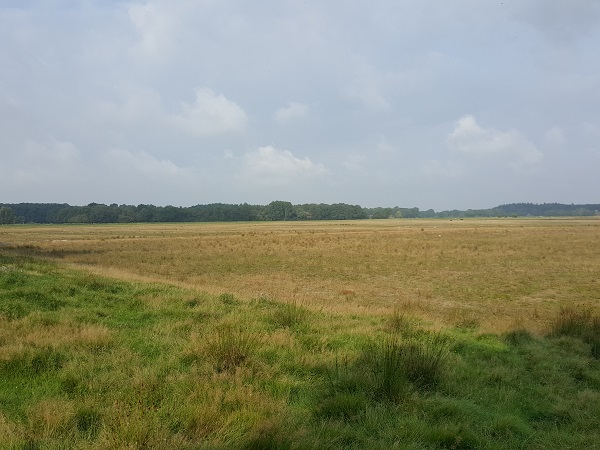 Wandelroute Nationaal Park Drents-Friese Wold