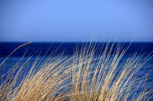 Door de duinen