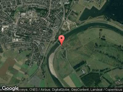 Marmotten in Stammerveld
