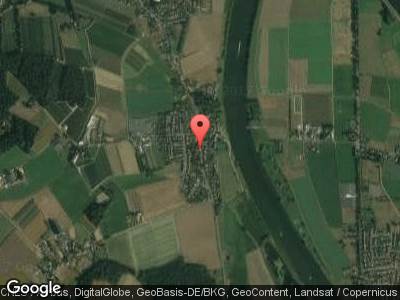 Langs de blauwe bessen