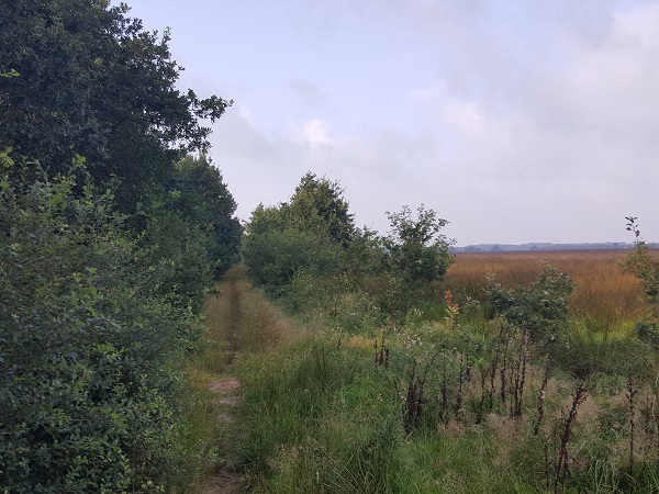 Wandelroute Nationaal Park Dwingelderveld (Drenthe)