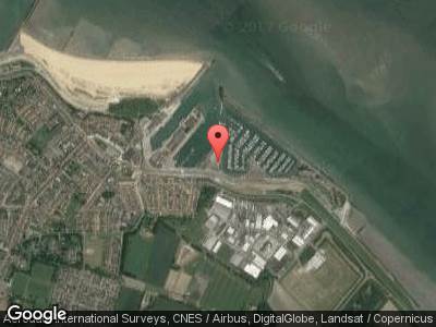 Zeehondjes spotten