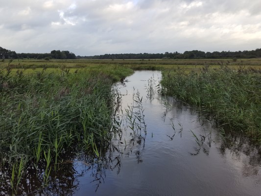De achtertuin van Balkbrug