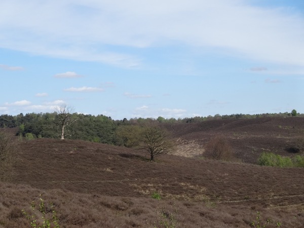 Wandelen over de Posbank