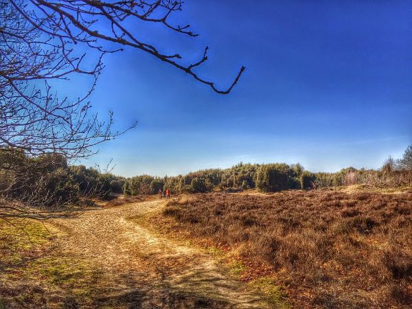 Mooi rondje Mantingerveld in Drenthe