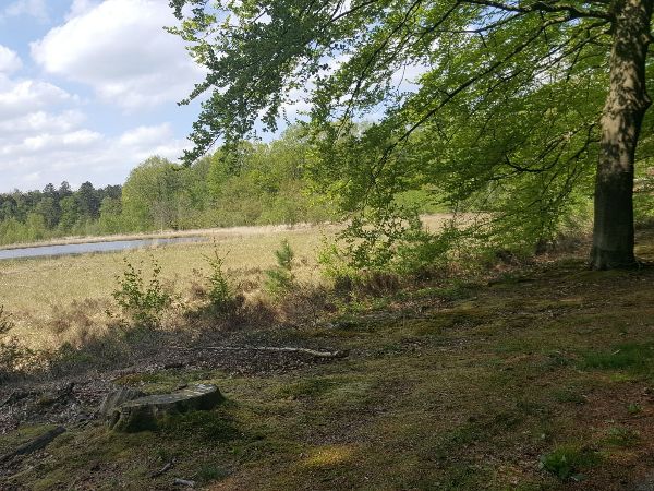 Even Stadskanaal aantikken