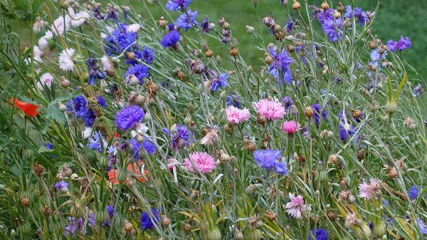 Natuurlijk Opsterland: natuur en landbouw in balans