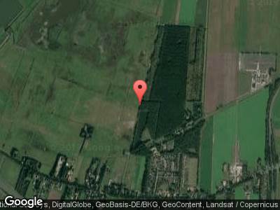 Wandelroute Bos van Kolham