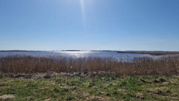 Rondrit vol afwisseling, landelijke rust en natuur