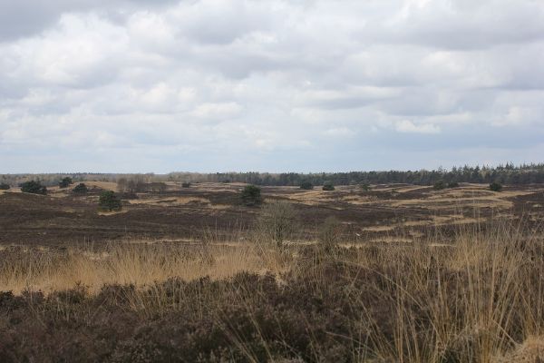 Fietsen door en langs de Veluwe