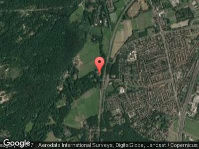 NS wandelroute door de Kennemerduinen