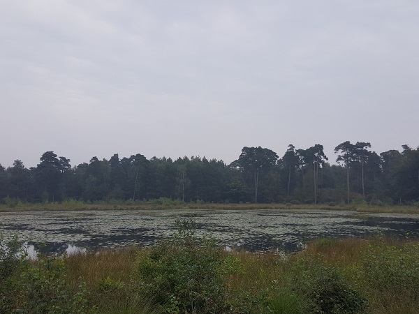 Dubbel geel met een snufje geschiedenis