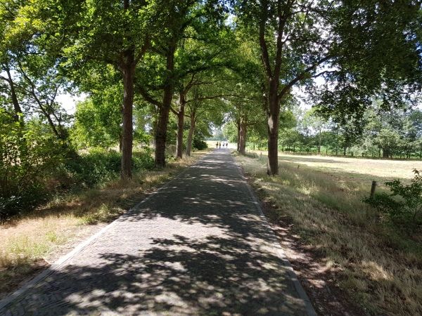 Tuffen door de landerijen van Drenthe