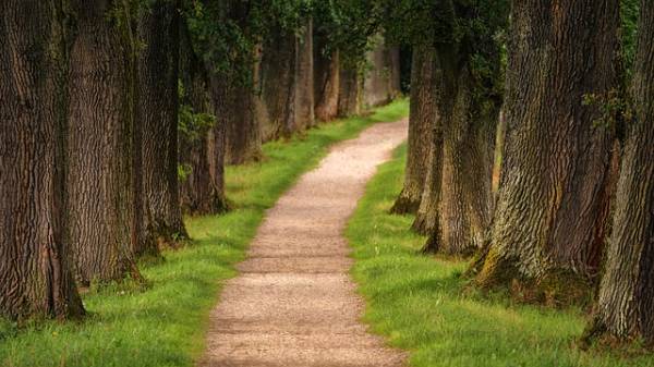 Wandelroute Leuvenhorst over het Hulshorsterzand bij Harderwijk