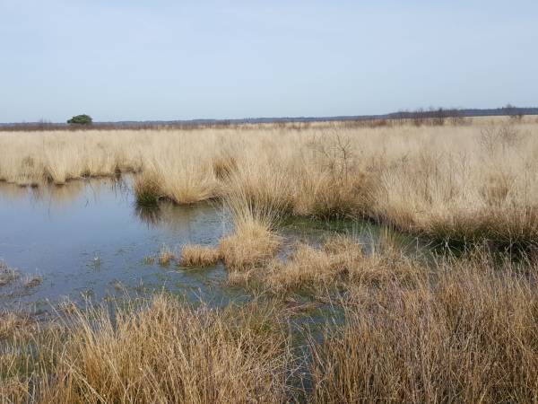 Drenthe op z'n best!