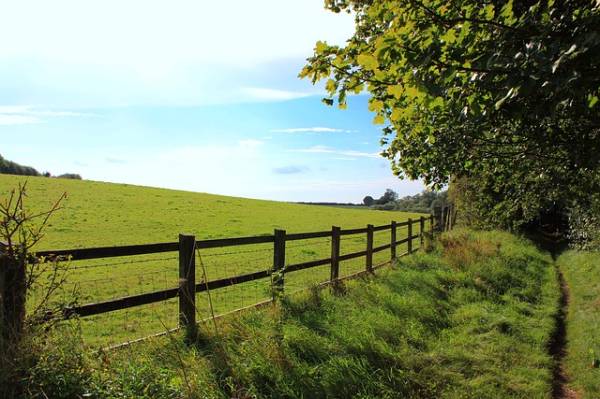 Wandelroute Rondje Mookerheide vlak bij Mook