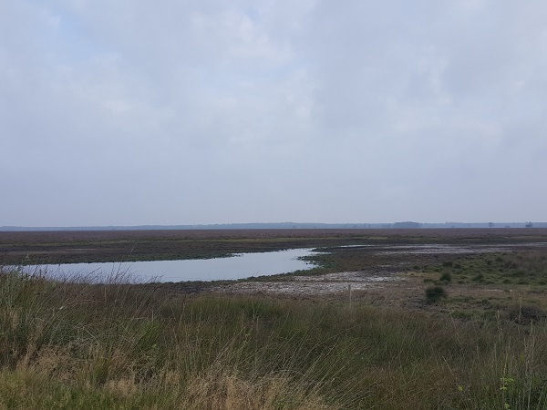 Wandelroute Nationaal Park Dwingelderveld