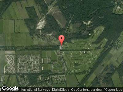 Bossen en brandheuvels