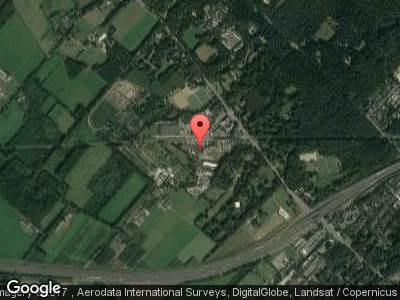 Utrechtse Heuvelrug NS wandeling