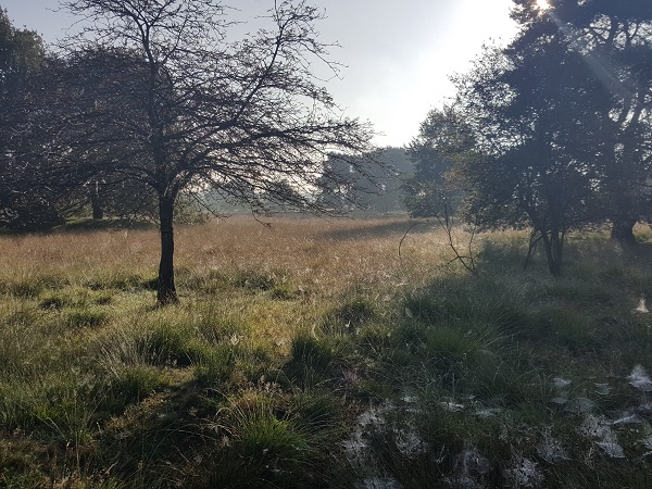 Afwisselend Dwingelderveld