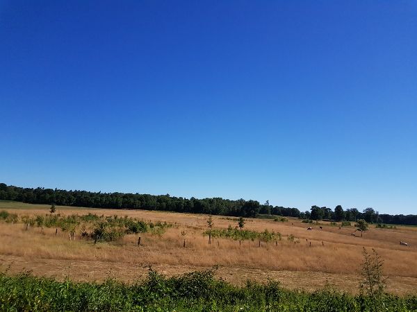 Retourtje Ommen - Vorden