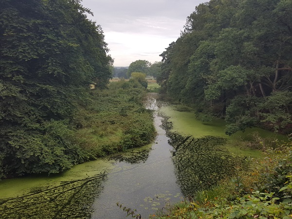 Twee keer over de Regge