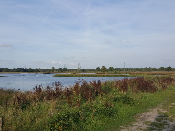 Rondje Bos, wei en een beetje hei